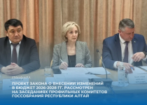 Проект закона о внесении изменений в бюджет 2026-2028 гг. рассмотрен на заседаниях профильных Комитетов Государственного Собрания – Эл Курултай Республики Алтай