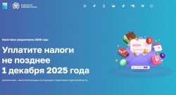 1 декабря истекает срок для своевременной оплаты физическими лицами налогов на имущество за 2024 год